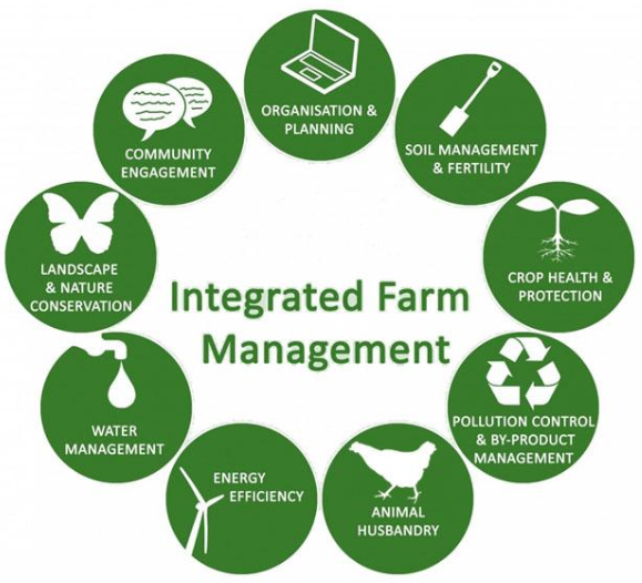 Artemisium Farming Approach