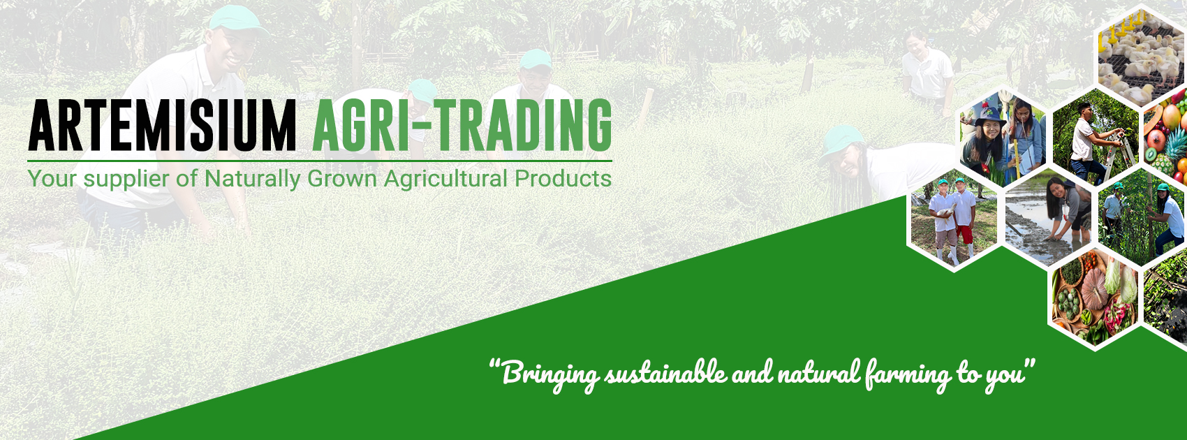 Artemisium Agri-Trading