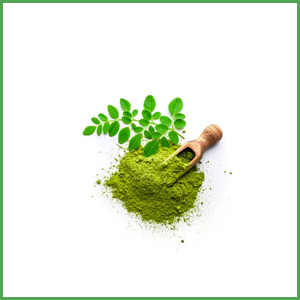 Artemisium Moringa Powder Product